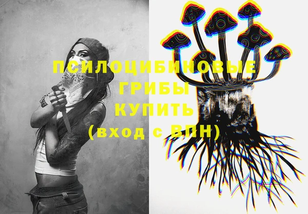 MDMA Новодвинск