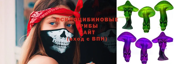 Альфа ПВП Бикин