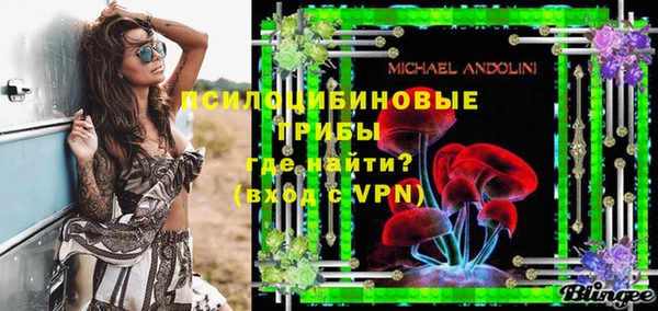 MDMA Новодвинск