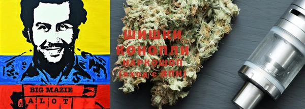 первитин Новозыбков