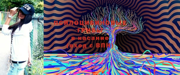 MDMA Новодвинск