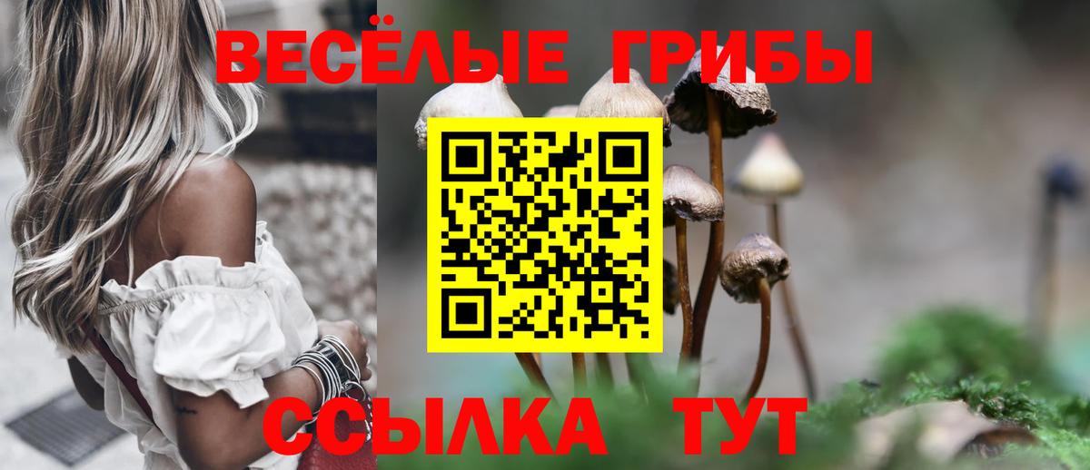 Галлюциногенные грибы мицелий  Псилоцибиновые грибы Cubensis  купить наркоту  Вход с VPN  Тосно 